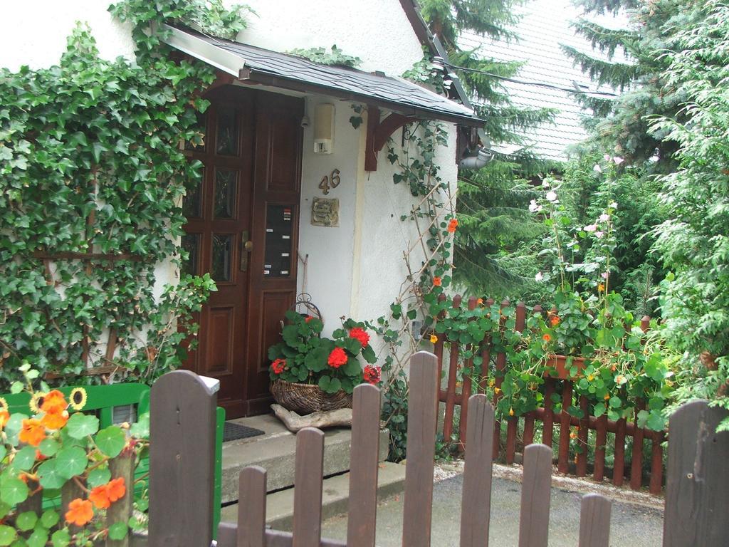 Ferienwohnung Grenzblick 오베르비젠탈 외부 사진
